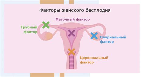 Возможные причины "договорных" поединков: факторы и мотивы