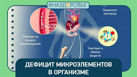 Возможные причины изменения уровня микроэлементов в организме