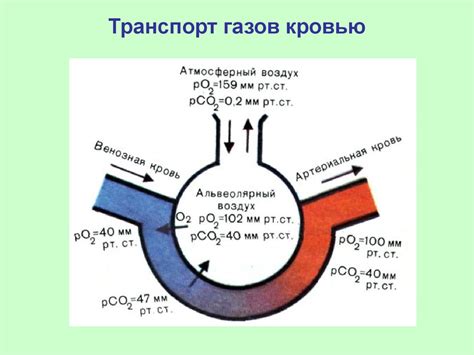 Возможные причины появления избыточных газов в организме