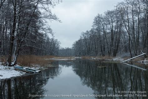 Волшебные водные просторы