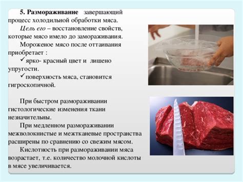 Восстановление мяса: универсальные приемы после продолжительной заморозки