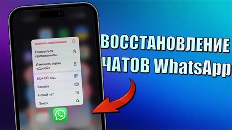 Восстановление удаленной переписки в WhatsApp на iPhone