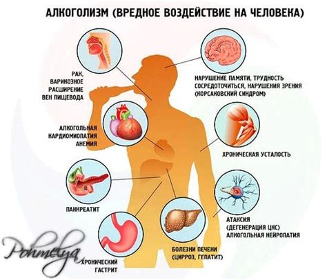 Вплив спирту на организм: органи, які страждають