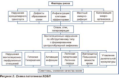 Врачебный алгоритм: пошаговое определение ХОБЛ