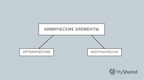 Все динамо имеют одинаковый состав