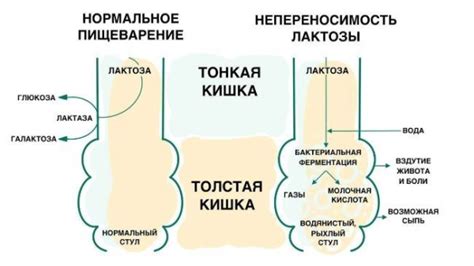 Всё, что нужно знать о веселых и оригинальных подарках с элементами юмора