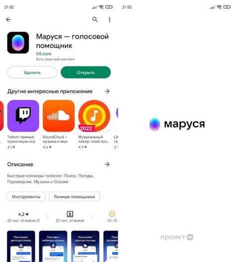 Вход в приложение Маруся