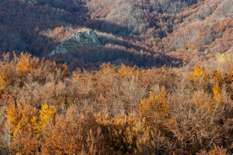 Выбирайте подходящий стиль