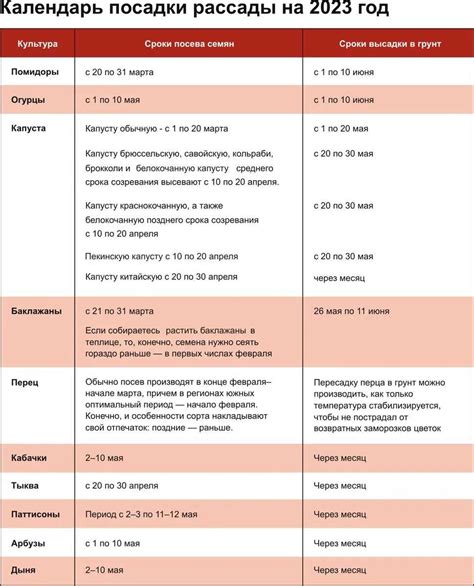 Выбор времени для весенней посадки: важная составляющая успешного выращивания ягоды