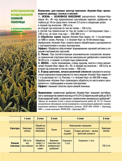 Выбор времени для обработки почвы осенью