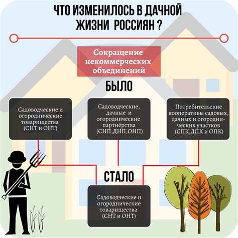 Выбор и оформление участка земли: ключевые моменты при создании личного хозяйства в СНТ