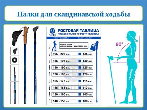 Выбор и разновидности палок для скандинавской ходьбы