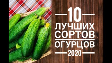 Выбор лучших сортов для нежного готовления желудков