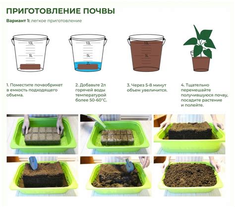 Выбор оптимального контейнера для размещения рассады