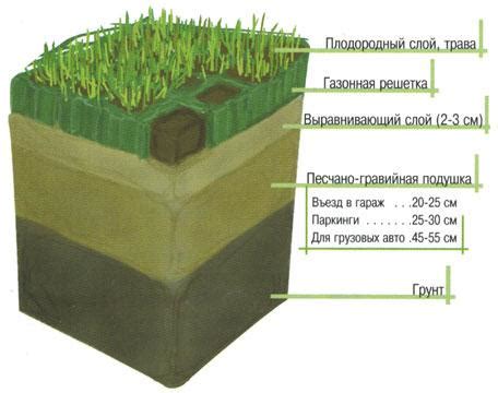 Выбор оптимального участка и подготовка грунта