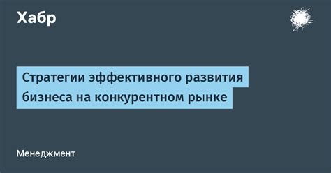 Выбор оптимальных параметров настройки юямы для эффективного развития вашего бизнеса