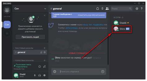 Выбор подходящего аудио-робота для коммуникации в Discord