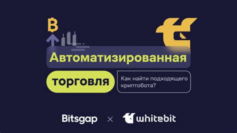 Выбор подходящего бота для организации розыгрыша