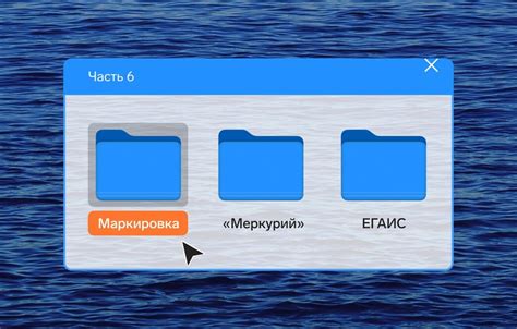 Выбор программного обеспечения для работы с системой ЕГАИС