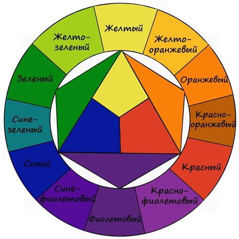 Выбор цвета и сорта тульпы