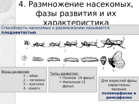 Выявление и устранение источника влаги, способствующего размножению насекомых