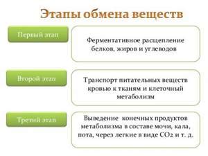 Выявление признаков избытка энергии в организме