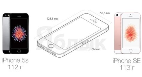 Габариты и вес iPhone 5s и iPhone 5s: подробное сопоставление