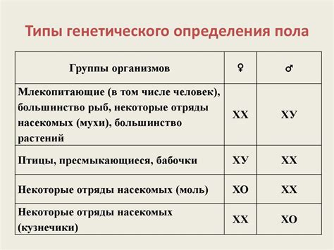 Главные параметры генетического тестирования для определения пола наследника