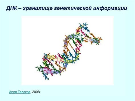 Главный хранилище генетической информации