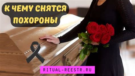 Глубокое значение снов: внутренние символы и смыслы, связанные со стрижкой собаки