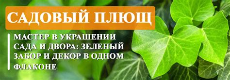 Декорирование и завершающие штрихи в украшении сада компота