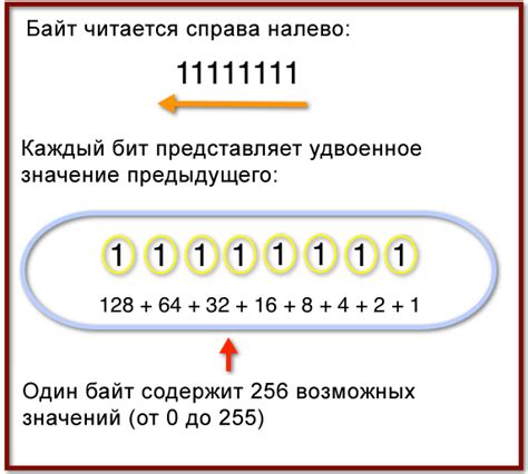 Десятичное и двоичное представление числа