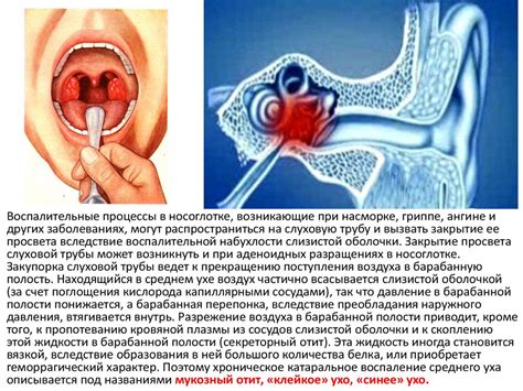 Диагностика и проверка состояния органов слуха