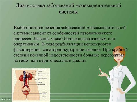 Диагностика образования конкрементов в мочевыделительной системе кота: современные методы и процедуры