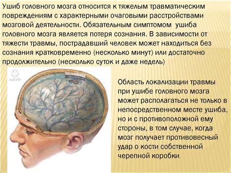 Диагностика состояния мозга у детей: выявление и анализ характерных признаков