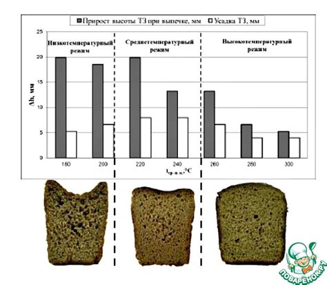 Длительность и температура выпечки хлеба: оптимальные параметры для идеального результата