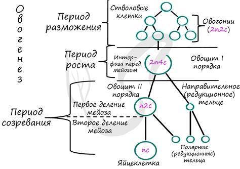 Добавление деталей и завершающая стадия формирования