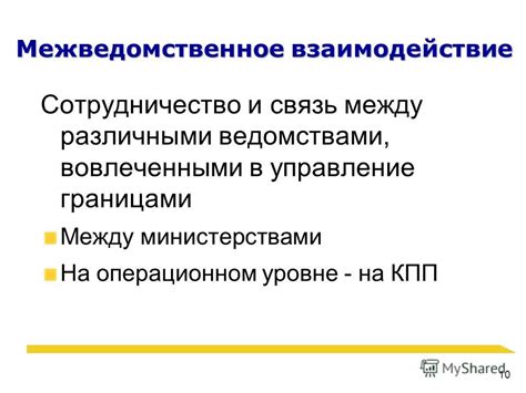 Добавление и управление границами в клетках