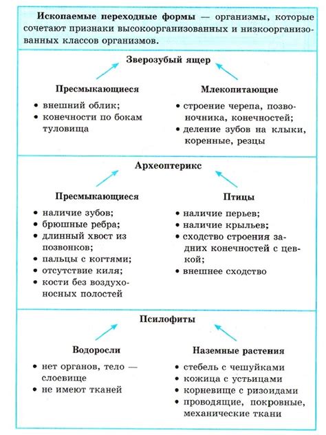 Доказательства эволюции поликультурности