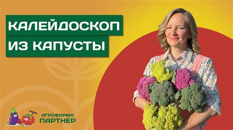 Дополнительные рекомендации и советы для успешного создания куная