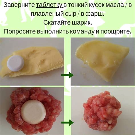 Дополнительные рекомендации по уходу за клешнями питомца