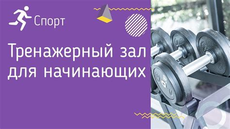 Дополнительные советы и полезные рекомендации