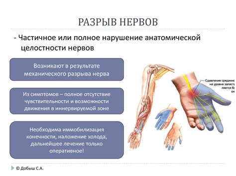 Ежедневное использование и механические повреждения