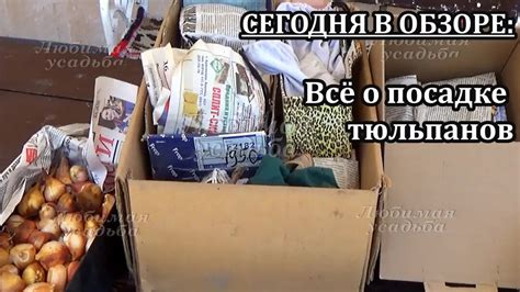 Если Эзра все еще активен: нюансы устранения проблем