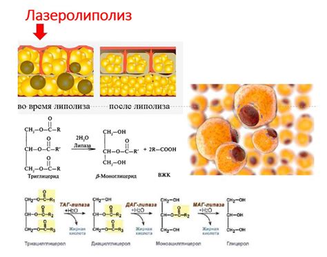 Естественность эффекта