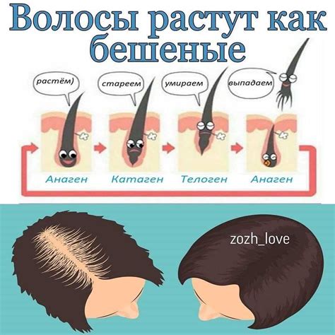 Естественные методы снижения активности роста волос на нижних конечностях