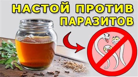 Естественные способы очищения организма от паразитов