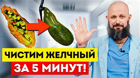 Естественные средства для стимулирования функционирования желчного пузыря