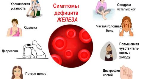 Железодефицитная анемия и избыточное содержание железа