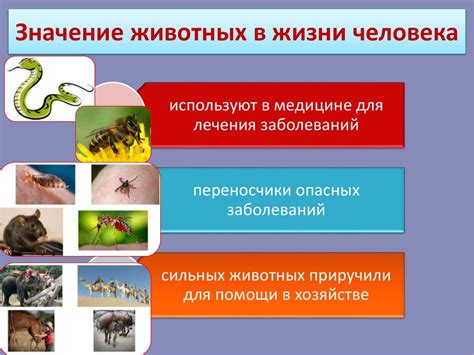 Животные в психологической работе: роль и значение